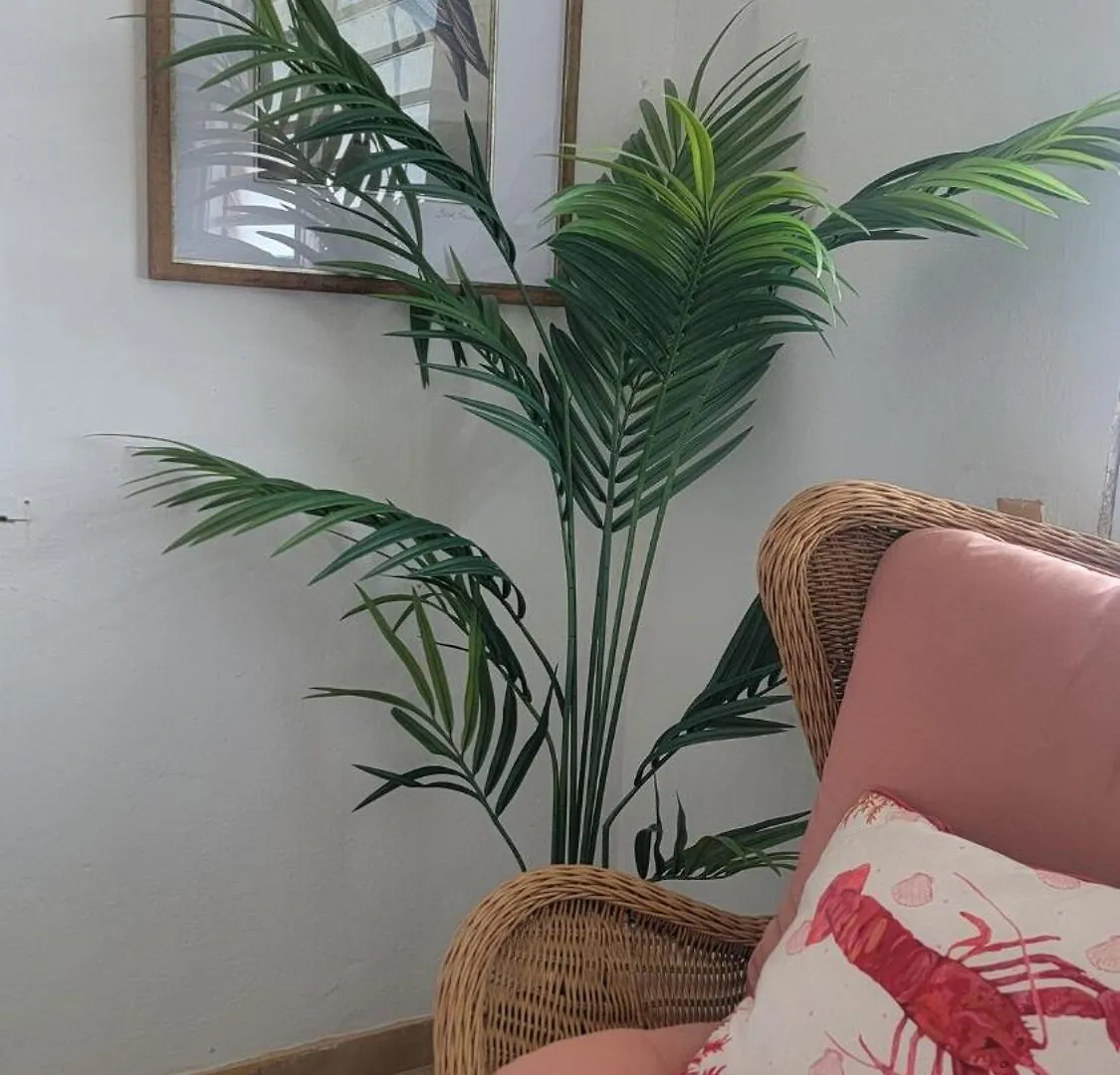 Private Pool Large Yard Minutes To Beach Or Ferry Ceiba 0*,
