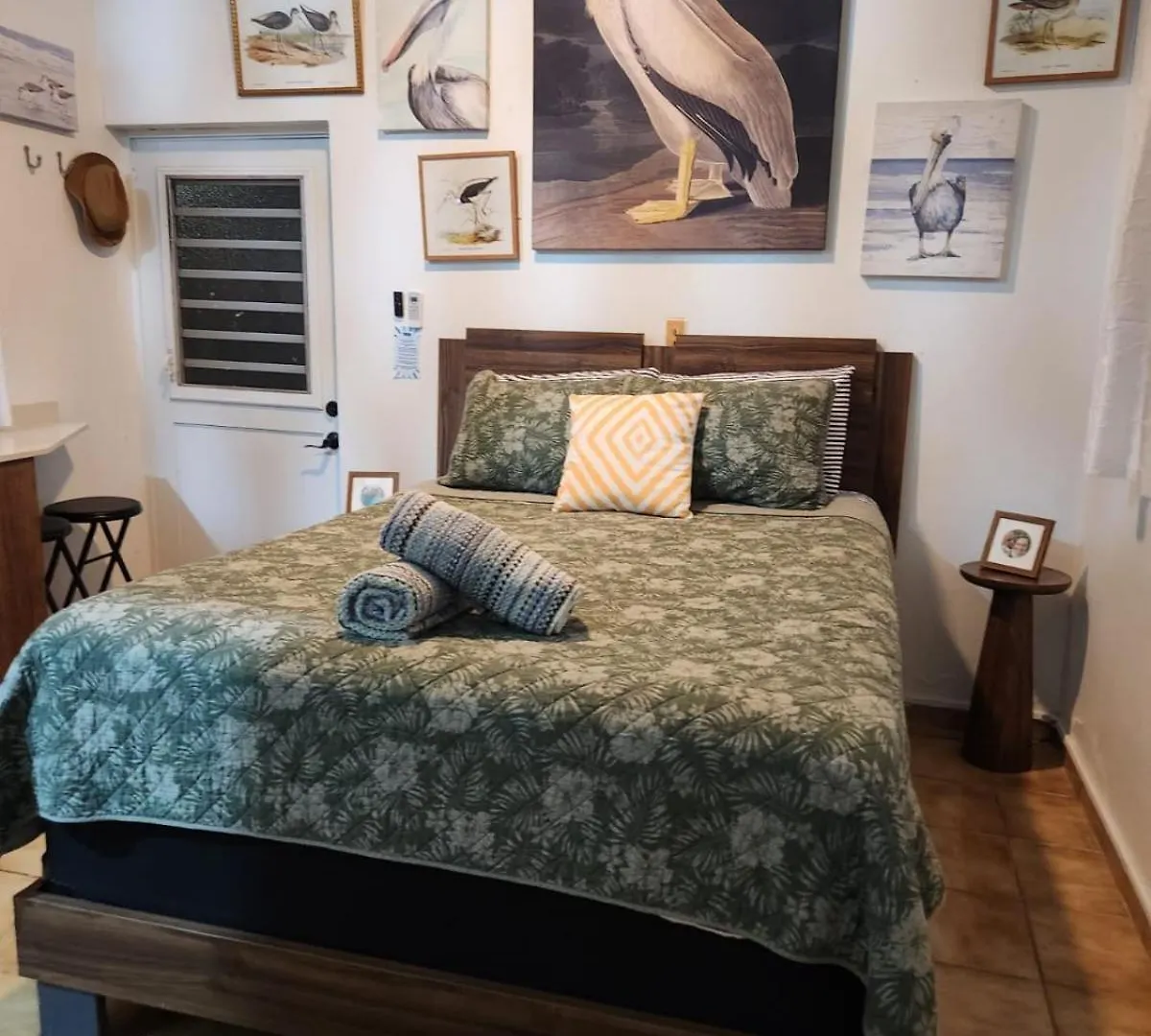 Private Pool Large Yard Minutes To Beach Or Ferry Ceiba